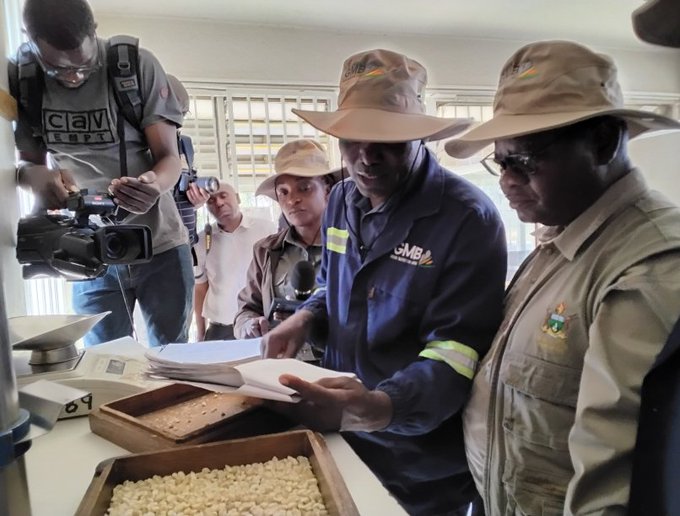 Pfumvudza success drives growth in grain reserves